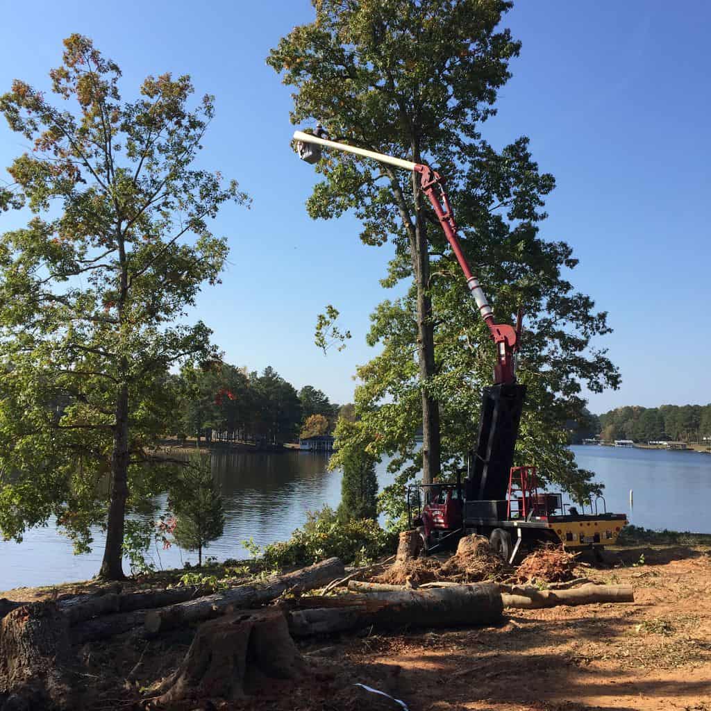 Tree Trimming Lake House